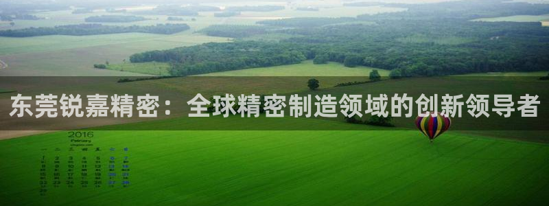 彩神ix是真的吗：东莞锐嘉精密：全球精密制造领域的创新领导者