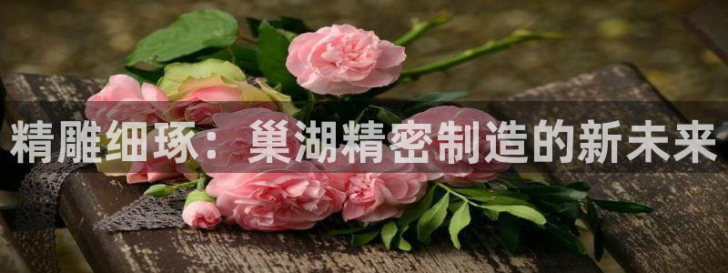 彩神是正规平台吗安全吗：精雕细琢：巢湖精密制造的新未来