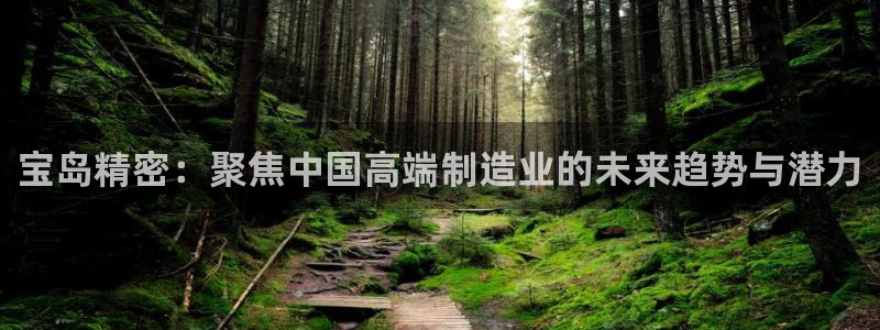 彩神邀请码:00-00-3267：宝岛精密：聚焦中国高端制造业的未来趋势与潜力