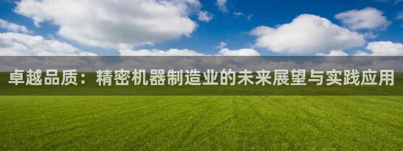 彩神V集团有限公司：卓越品质：精密机器制造业的未来展望与实践应用