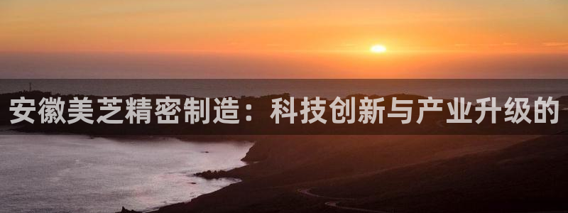 天天赢彩神：安徽美芝精密制造：科技创新与产业升级的