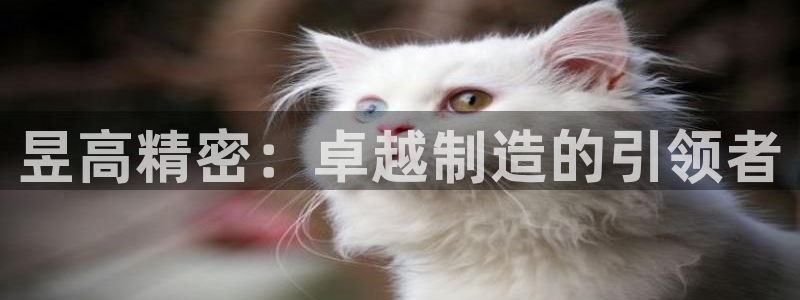 彩神v争霸有限公司：