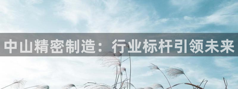 彩神8官网下
