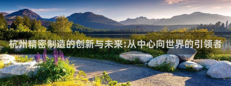 彩神合法吗.是国家认可的吗：杭州精密制造的创新与未来:从中心向世界的引领者