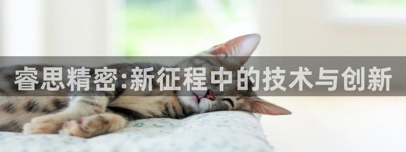 彩神是怎样一个平台赚钱的
