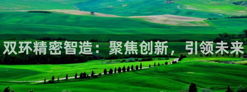 彩神v集团有限公司
