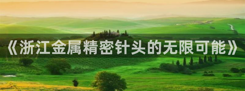 彩神购彩-购彩大厅入口计划群：《浙江金属精密针头的无限可能》