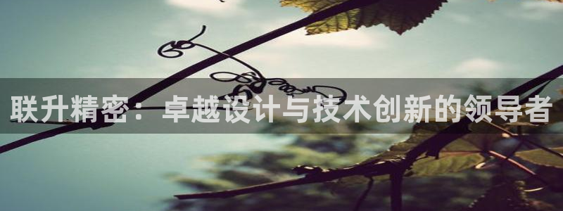 彩神v8平台正规吗可靠吗：联升精密：卓越设计与技术创新的领导者