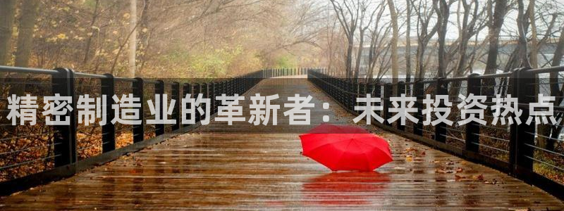 下载彩神争霸谁与我争锋：精密制造业的革新者：未来投资热点