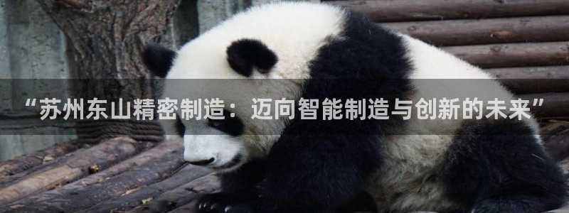 下载彩神通关注金码：“苏州东山精密制造：迈向智能制造与创新的未来”