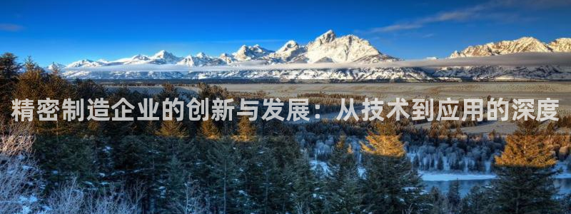 彩神平台之间是什么关系：精密制造企业的创新与发展：从技术到应用的深度
