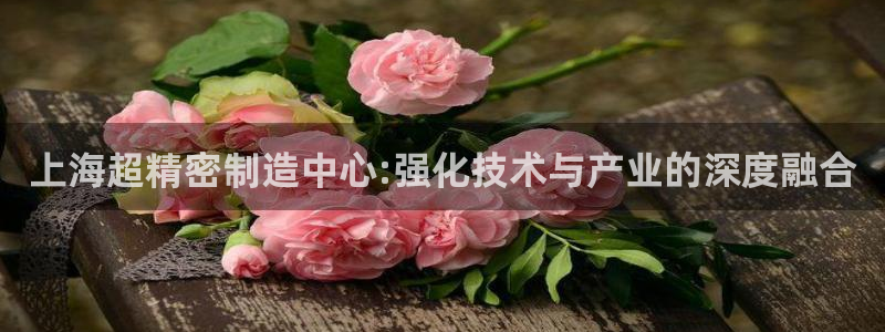 彩神iv真的能赚钱吗：上海超精密制造中心:强化技术与产业的深度融合