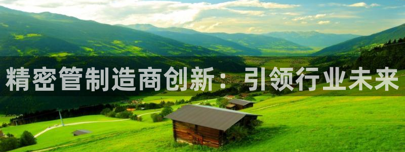 彩神盈利图片：精密管制造商创新：引领行业未来