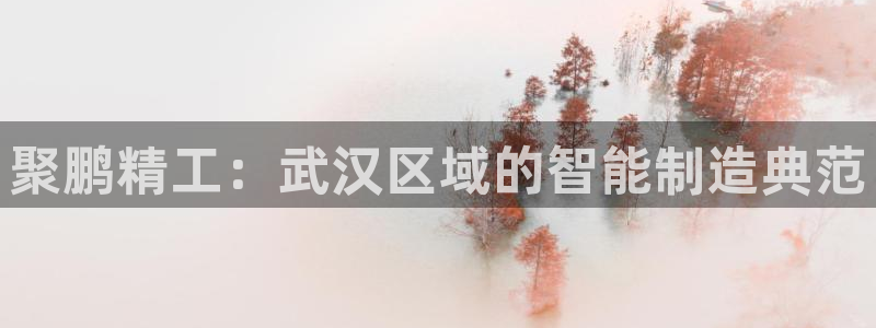 彩神vlll官网网上购彩：聚鹏精工：武汉区域的智能制造典范