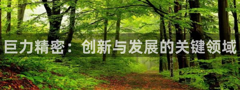 彩神V官网