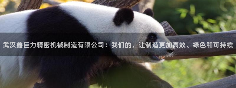 彩神v8下载app