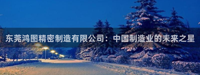 彩神ix官网：东莞鸿图精密制造有限公司：中国制造业的未来之星