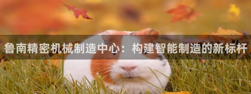 彩神v集团有限公司