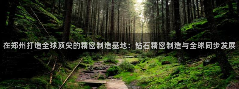 大发彩神官网下载：在郑州打造全球顶尖的精密制造基地：钻石精密制造与全球同步发展