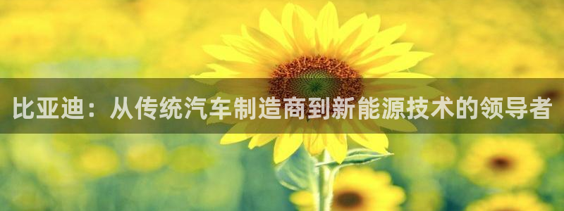 彩神8是正规平台吗知乎