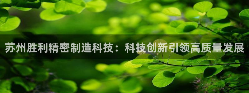 彩神网能赚钱是怎么回事：苏州胜利精密制造科技：科技创新引领高质量发展