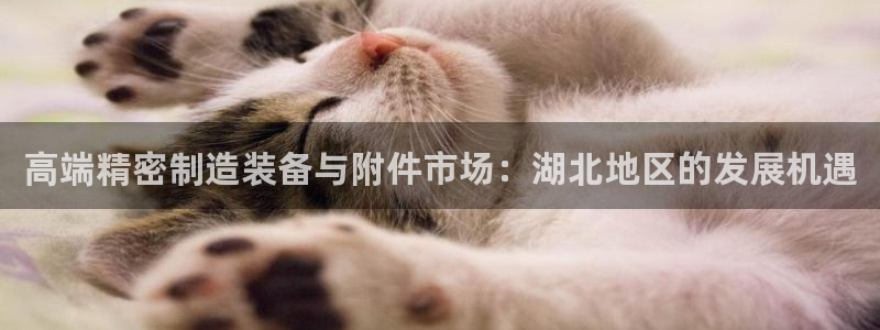 彩神v8手机客户端