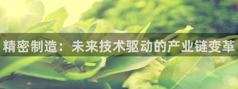 彩神VI首页：精密制造：未来技术驱动的产业链变革