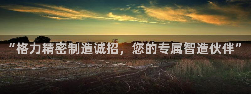 彩神8彩平台官网：“格力精密制造诚招，您的专属智造伙伴”