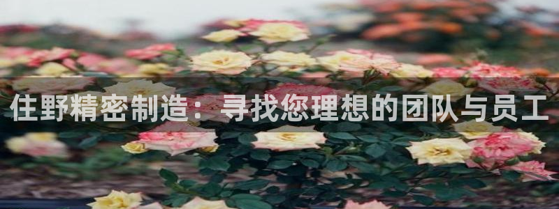 彩神v网赌软件下载：住野精密制造：寻找您理想的团队与员工
