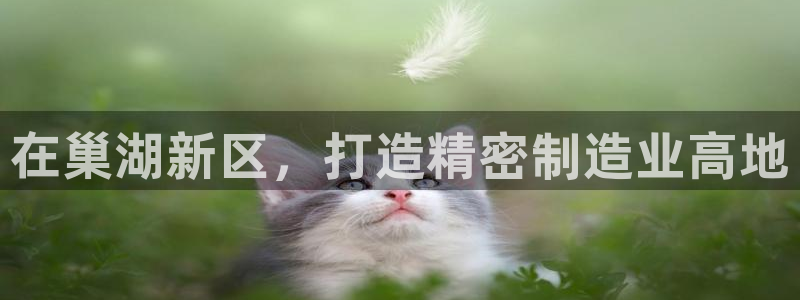 彩神Vll：在巢湖新区，打造精密制造业高地