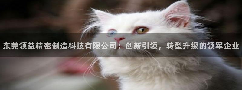 彩神旗下有哪些平台可以玩：东莞领益精密制造科技有限公司：创新引领，转型升级的领军企业