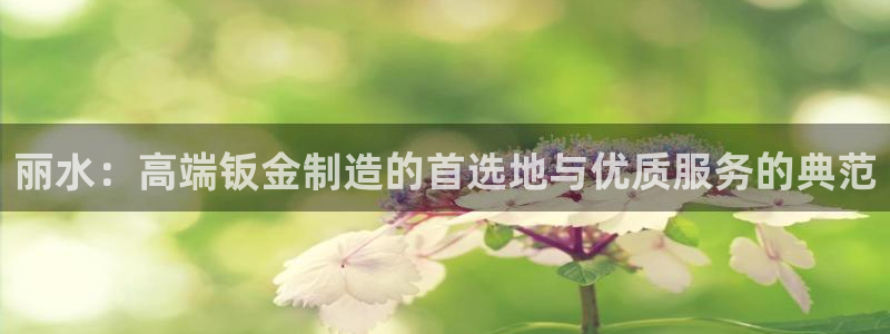 彩神vl购彩大厅：丽水：高端钣金制造的首选地与优质服务的典范