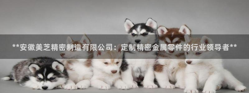 彩神ll能赚钱吗