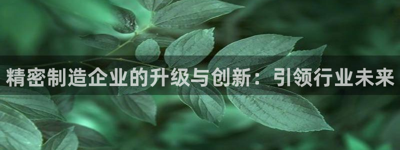 彩神大发是不是人为操作：精密制造企业的升级与创新：引领行业未来