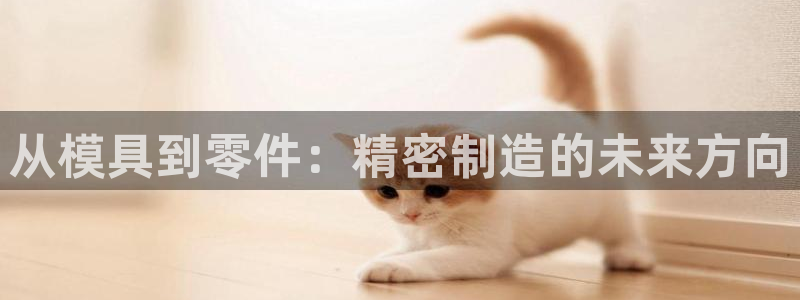 彩神ix可靠吗：从模具到零件：精密制造的未来方向