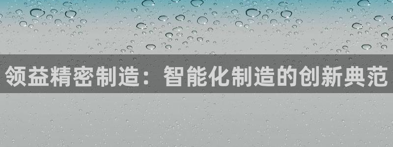 彩神大发cp：领益精密制造：智能化制造的创新典范
